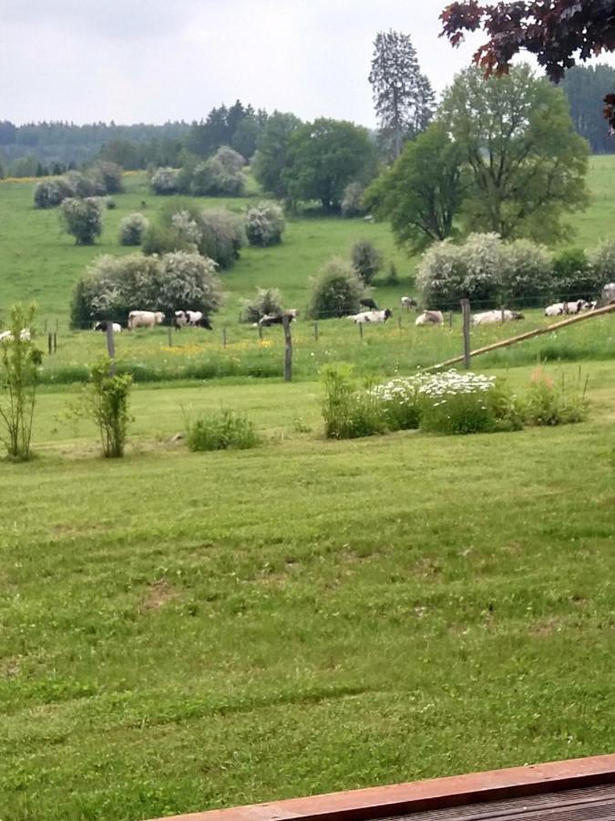 Abri De Jardin Villa Vielsalm Luaran gambar