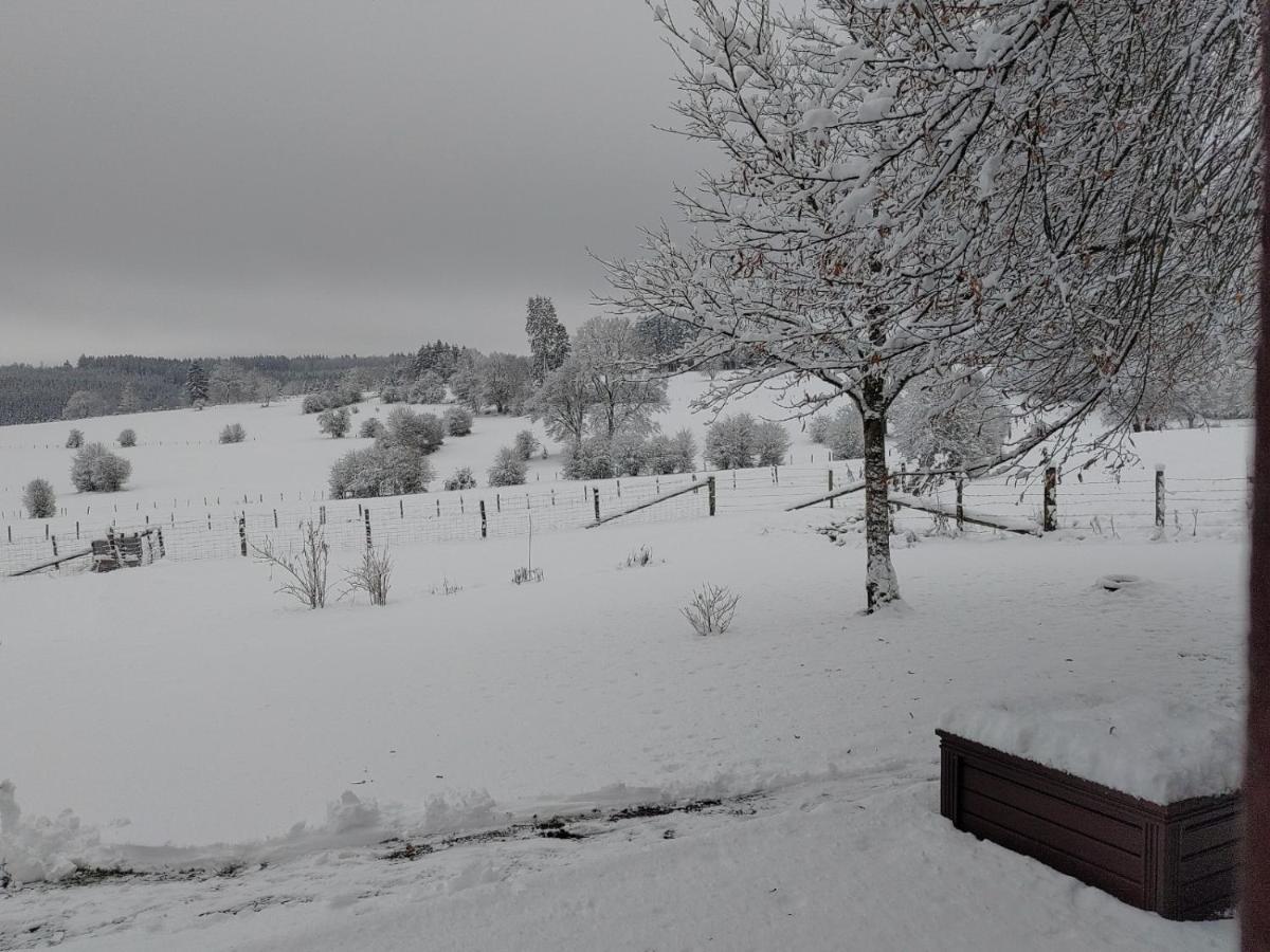 Abri De Jardin Villa Vielsalm Luaran gambar